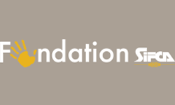 FONDATION SIFCA FONDATION SIFCA